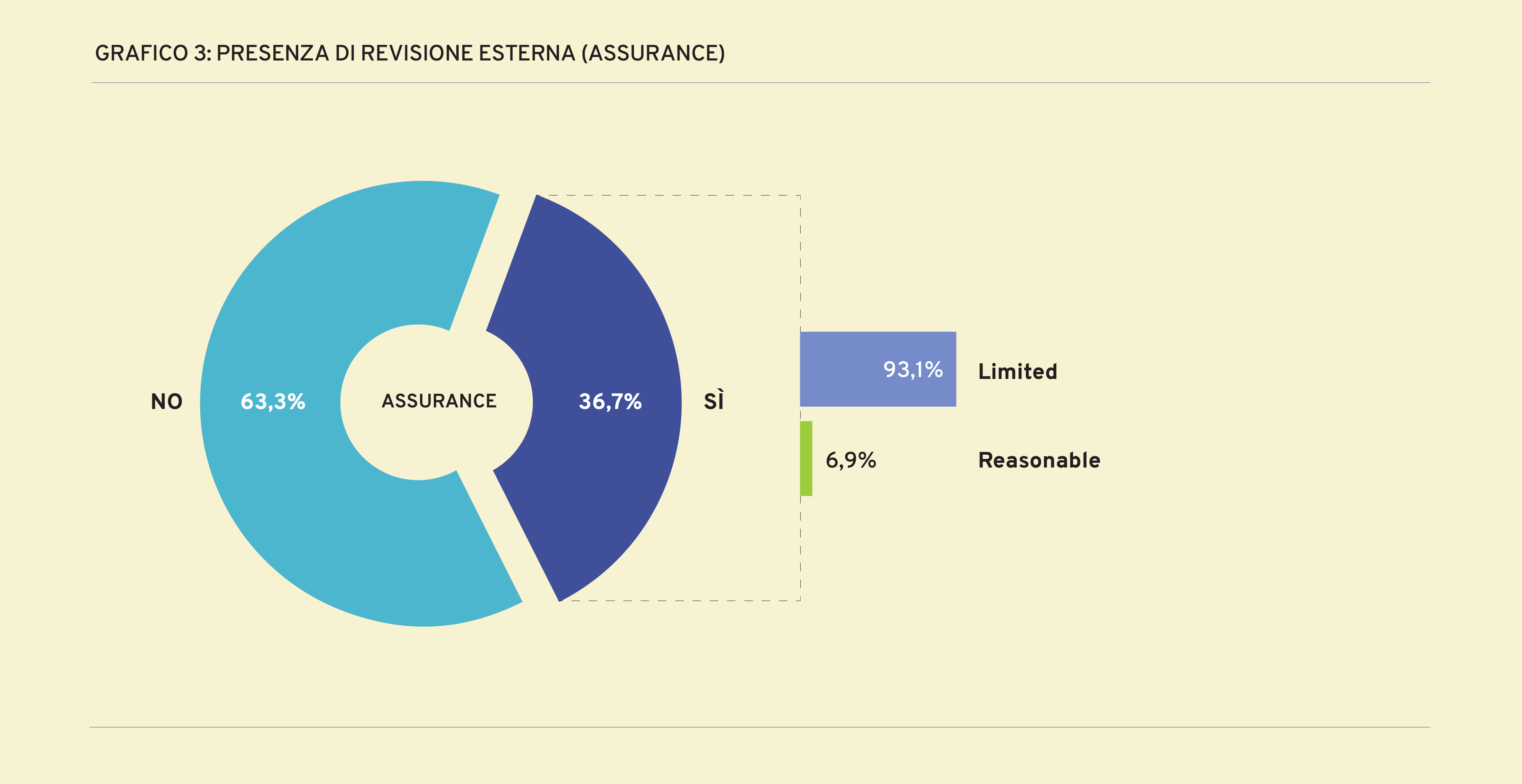Presenza di revisione esterna (assurance)