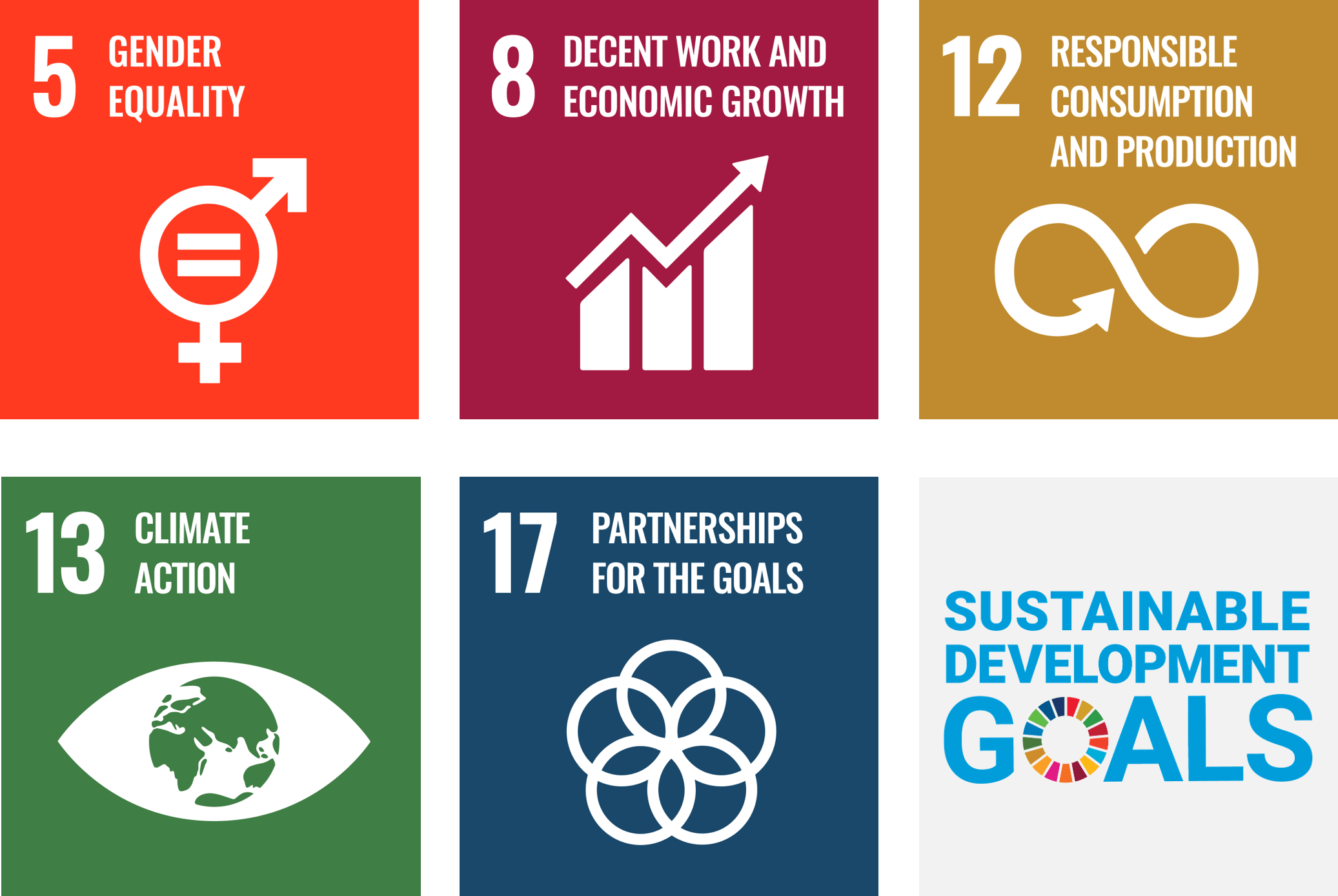 Sustainable Development Goals (SDGs) di Progressio